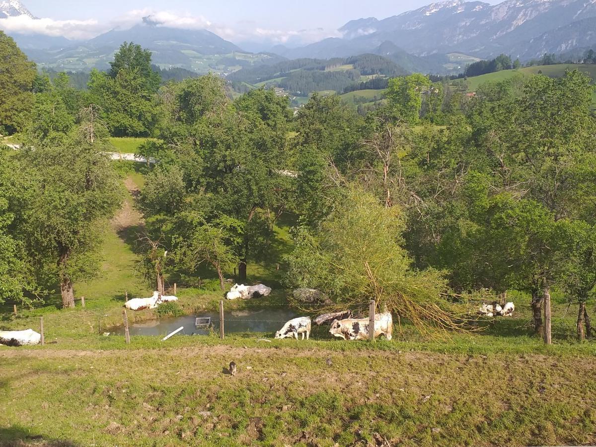 Landhotel Oberwengerhof シュピタル・アム・ピュールン エクステリア 写真